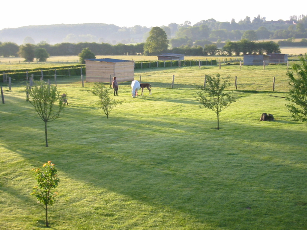 Pension de chevaux